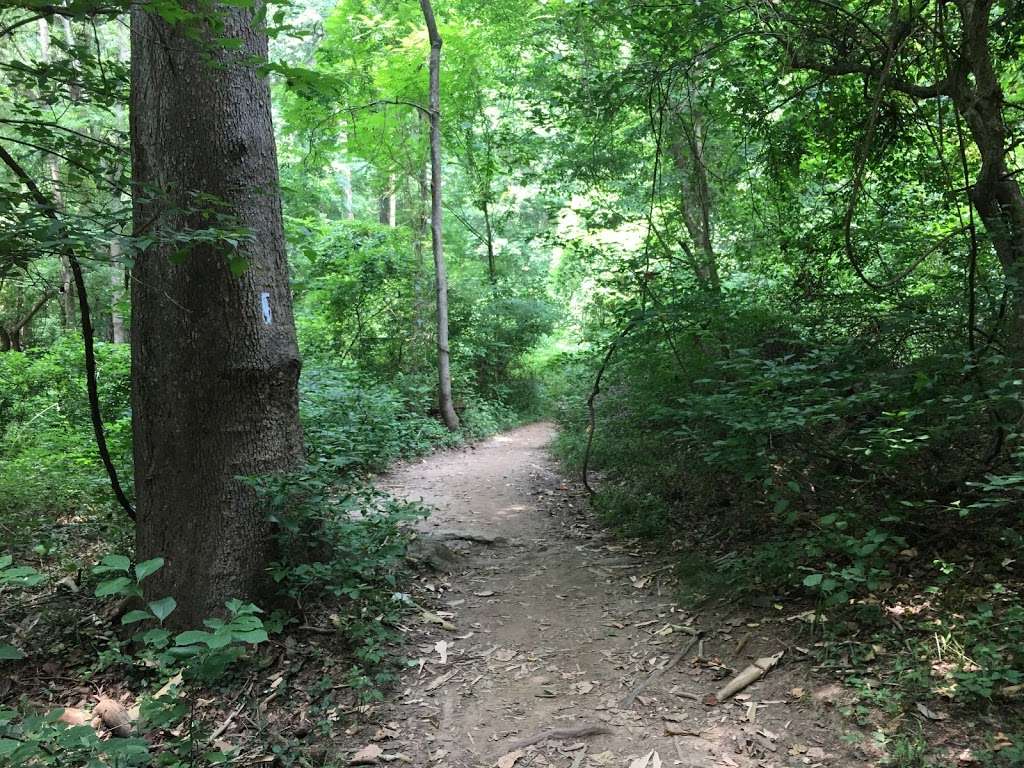 Rock Creek Regional Park Lake Frank | Unnamed Road, Derwood, MD 20855, USA