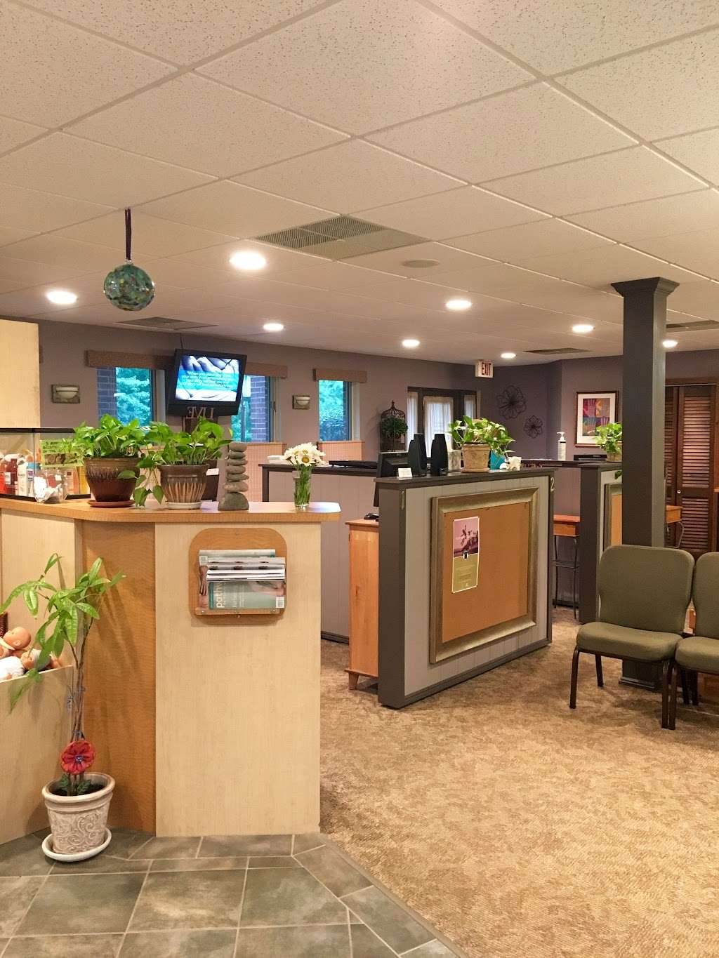 SCC Chiropractic & Vitality Studio | 1 Overlook Dr, Amherst, NH 03031 | Phone: (603) 673-5600