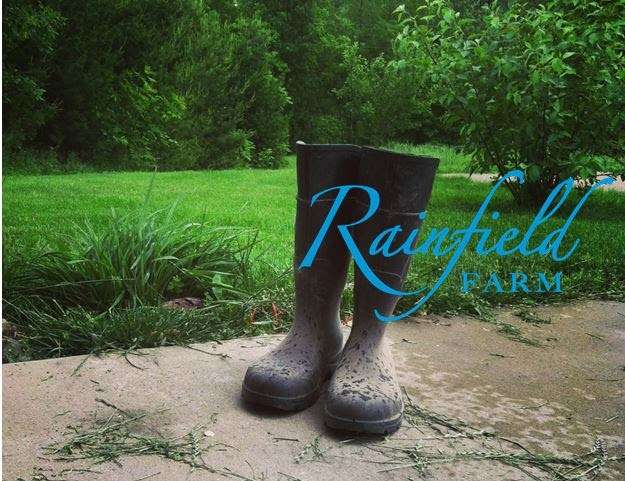 Rainfield Farm | 8531 N 650 E, New Carlisle, IN 46552, USA