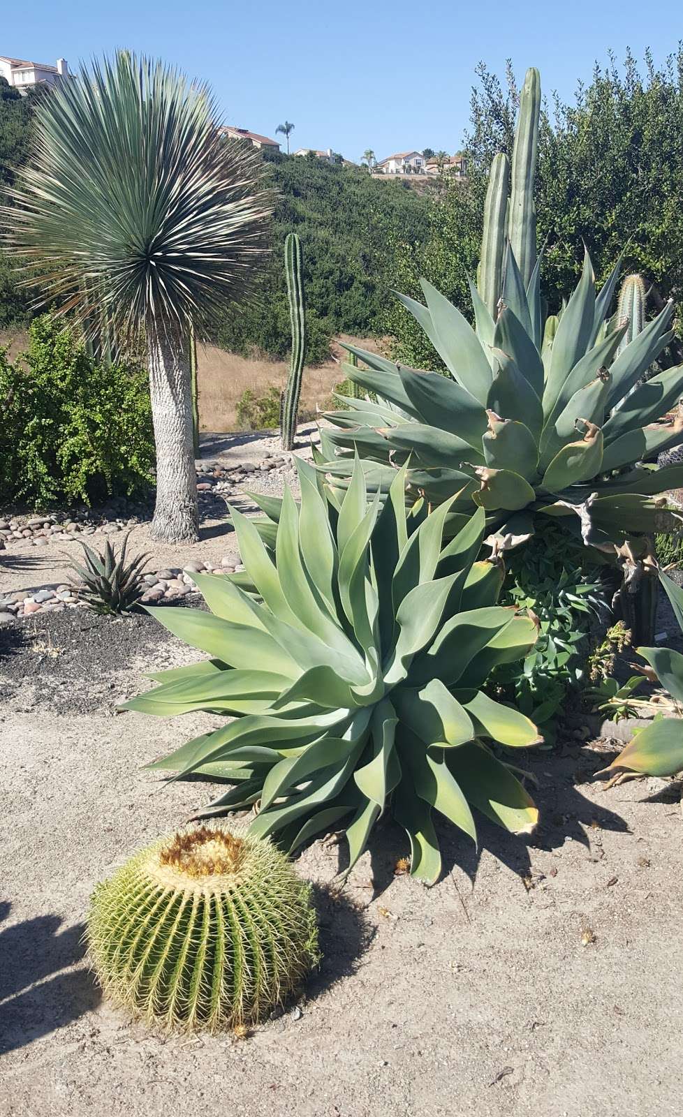 Rice Canyon Demonstration Gardens | Chula Vista, CA 91910, USA