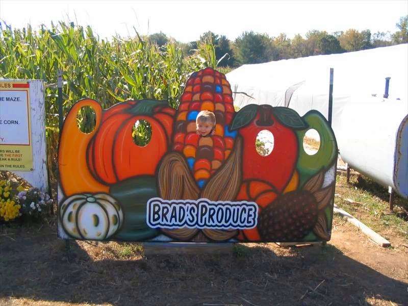 Brads Farm Market | 550 Asbury Rd, Churchville, MD 21028 | Phone: (410) 734-4769