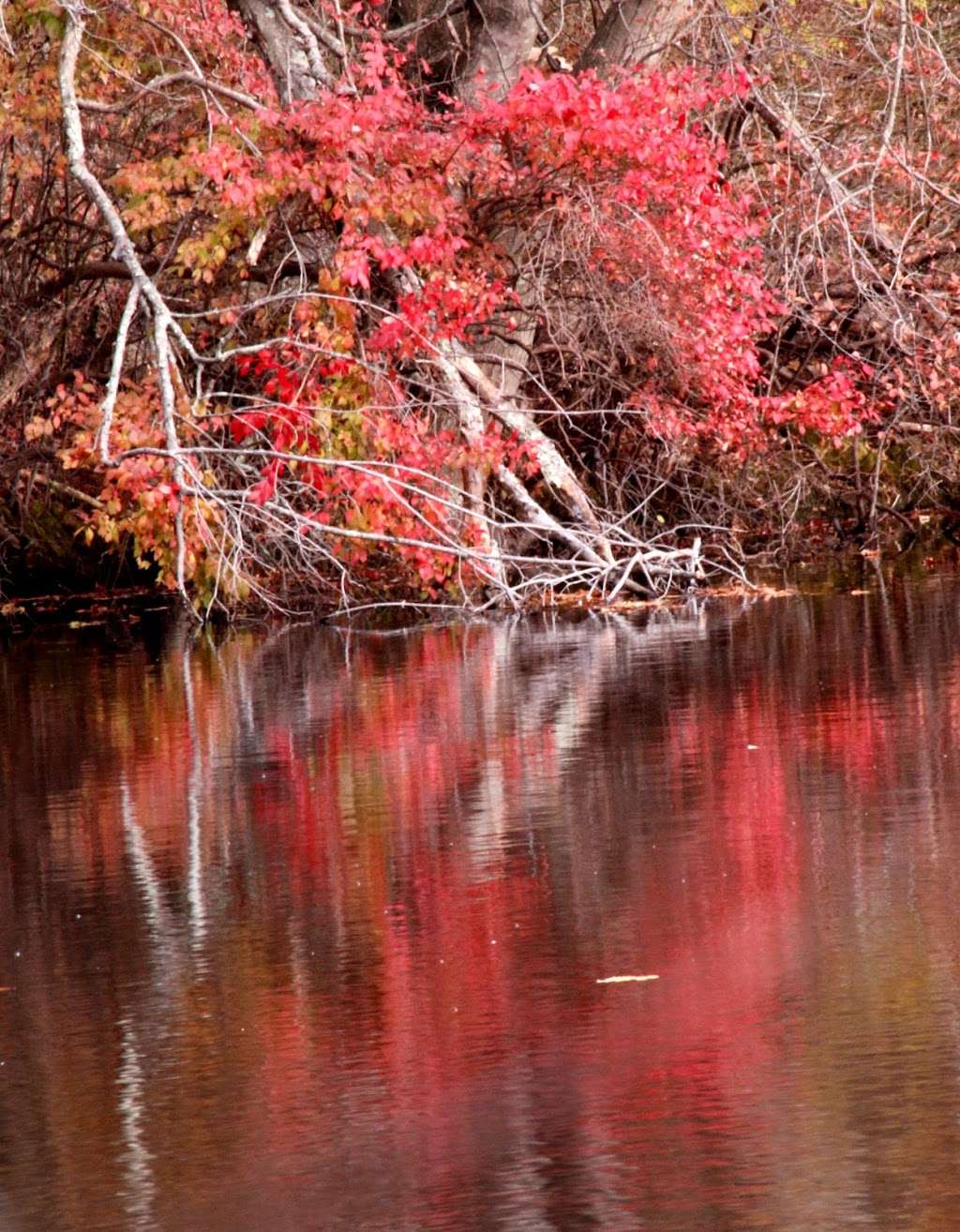 Martin Wildlife Refuge | 347-357 Fall River Ave, Seekonk, MA 02771, USA