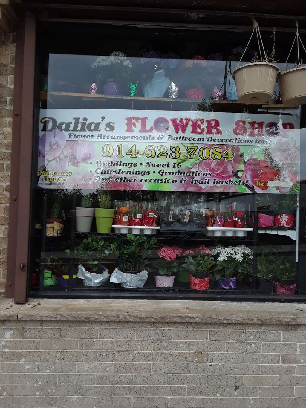 Dalias Flower Shop | 105 Ashburton Ave, Yonkers, NY 10701, USA | Phone: (914) 623-7084