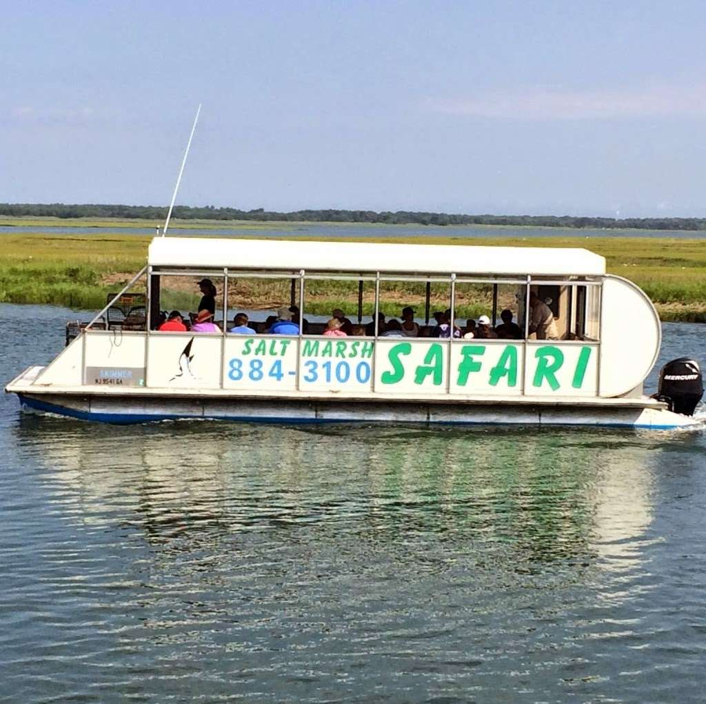 Skimmer Tours - Salt Marsh Safari | 1001 Ocean Dr, Wildwood, NJ 08260 | Phone: (609) 884-3100