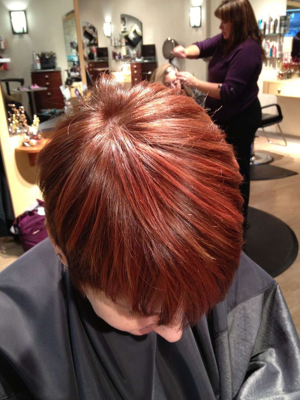 Karen Hockaday- Eco Salon | 9233 Park Meadows Dr, Lone Tree, CO 80124, USA | Phone: (303) 513-3031