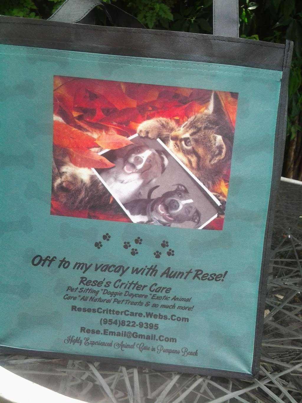 Reses Critter Care | NE 23rd Ave, Pompano Beach, FL 33062, USA | Phone: (954) 822-9395