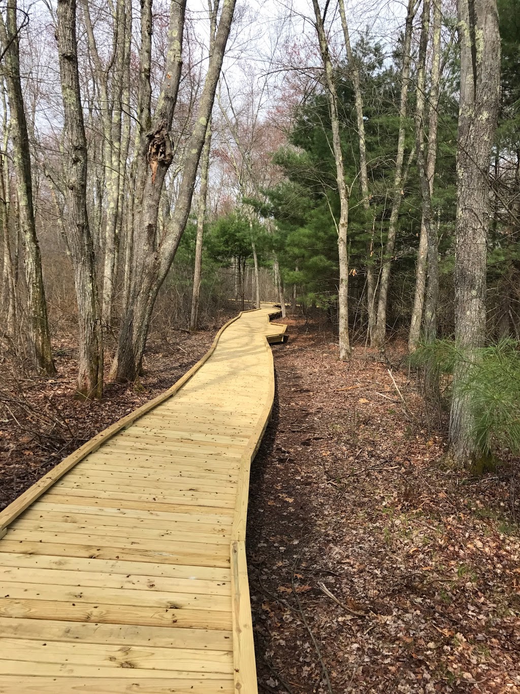 Great Meadows National Wildlife Refuge Sudbury Unit Admin Buildi | Headquarters Entrance Rd, Sudbury, MA 01776 | Phone: (978) 443-4661