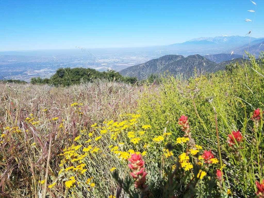 Morton Peak Fire Lookout | 34800 Morton Ridge Trail, Mentone, CA 92359, USA | Phone: (909) 382-2882