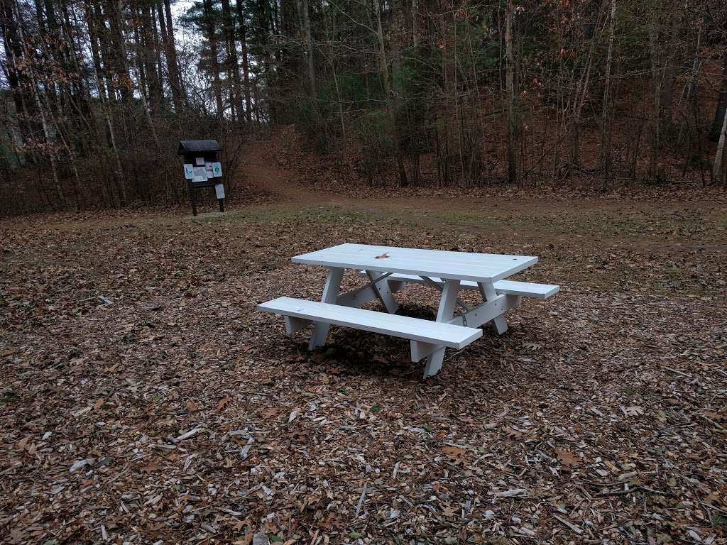 Thanksgiving Forest Reservation | 38-50 Janet Rd, Chelmsford, MA 01824