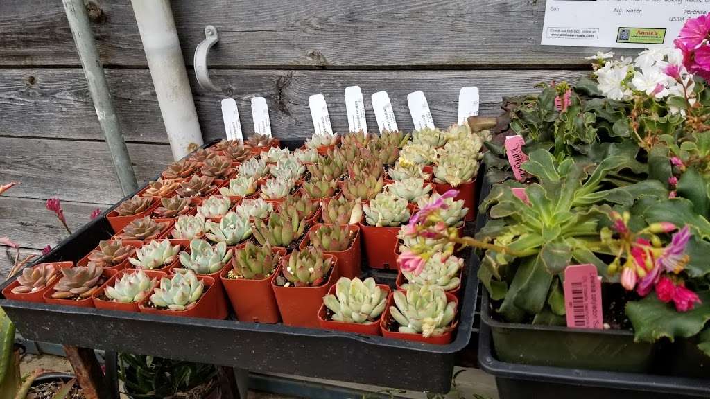 Mountain Feed & Farm Supply | 9550 CA-9, Ben Lomond, CA 95005, USA | Phone: (831) 336-8876