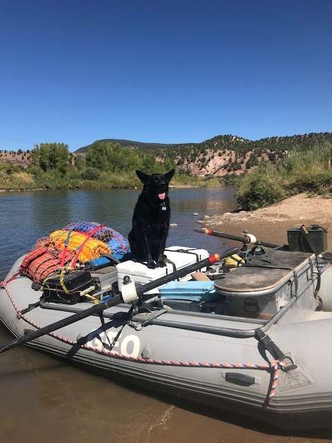 Agate Dog Inc dba Geo Tours Whitewater Raft Trips | 229 Colorado Highway 8, Morrison, CO 80465 | Phone: (303) 756-6070