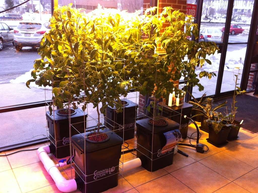 New England Hydroponics | 19 Brigham St #6, Marlborough, MA 01752, USA | Phone: (508) 405-2525