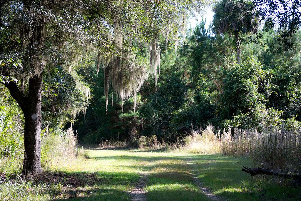 Silver Springs Forest Conservation Area | 6381 E, FL-326, Silver Springs, FL 34488, USA | Phone: (386) 329-4404