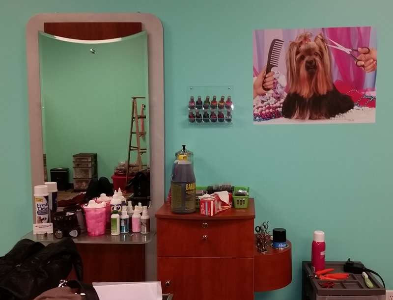 Barkingdales Pet Salon | 2905 Canoe Creek Rd, St Cloud, FL 34772, USA | Phone: (407) 593-6958 Barkingdales Pet Salon | 2905 Canoe Creek Rd, St Cloud, FL 34772, USA | Phone: (407) 593-6958