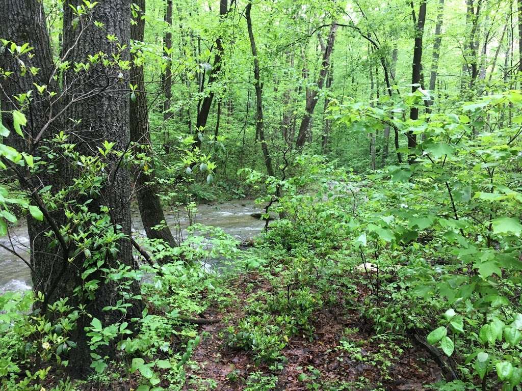 Fishing Creek Scalpy Hollow Nature Preserve | Scalpy Hollow Rd, Holtwood, PA 17532, USA | Phone: (717) 392-7891
