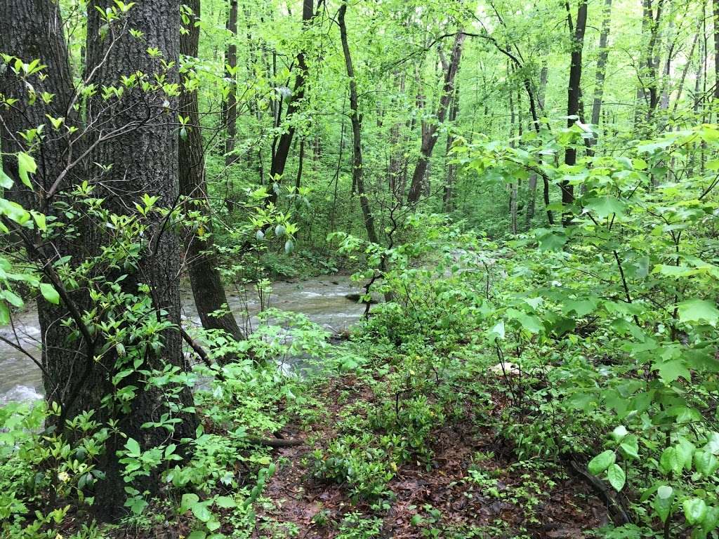 Fishing Creek Scalpy Hollow Nature Preserve | Scalpy Hollow Rd, Holtwood, PA 17532 | Phone: (717) 392-7891