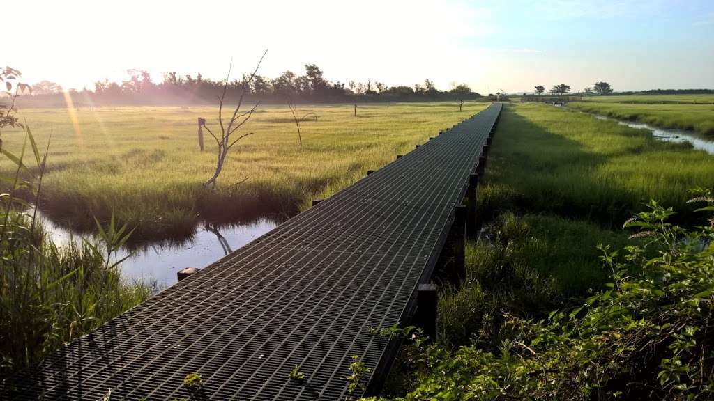 Marine Nature Study Area | 500 Slice Dr, Oceanside, NY 11572, USA | Phone: (516) 766-1580