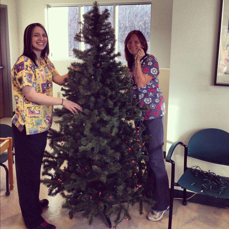 Ark of the Dunes Animal Hospital | 135 E 1100 N, Chesterton, IN 46304, USA | Phone: (219) 926-9797