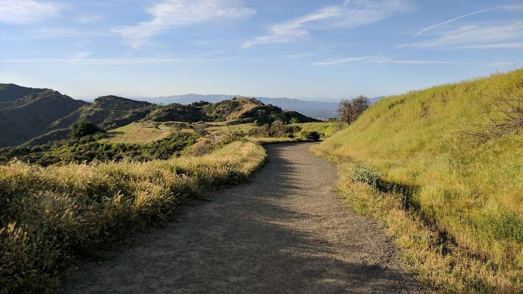 Canyonback Trail | Los Angeles, CA 90049, USA