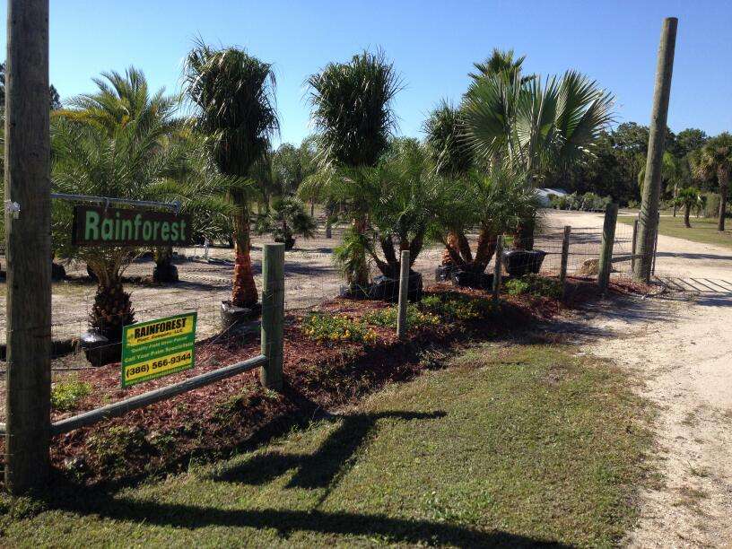 Rainforest Plant Co | 4450 Colony Rd, New Smyrna Beach, FL 32168, USA