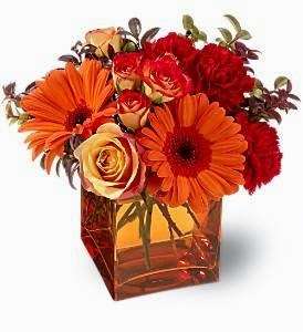 Heart To Heart Florist | 1371 Delsea Dr, Deptford Township, NJ 08096, USA | Phone: (856) 845-1134