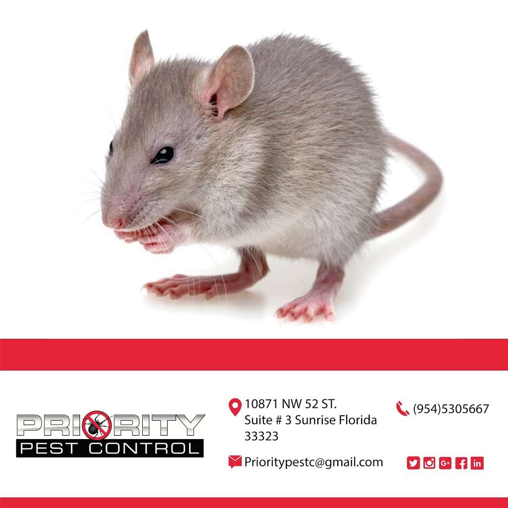 Priority Pest Control | 10871 NW 52nd St Suite 3, Sunrise, FL 33323 | Phone: (954) 530-5667