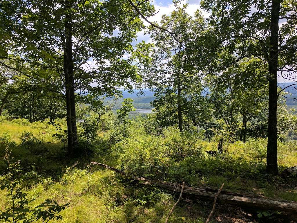 Upper Spur Trail Head | Hardwick Township, NJ 07825, USA