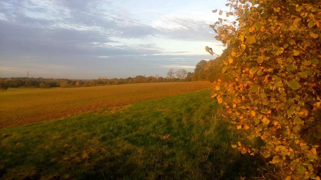 Epsom Common Car Park | Epsom, Ashtead KT18 7FB, UK