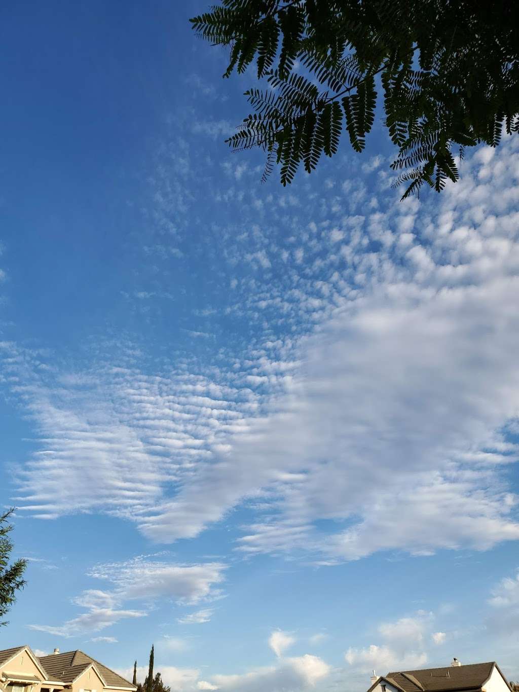 Nakayama Park | 30592 Bike Path, Temecula, CA 92591, USA