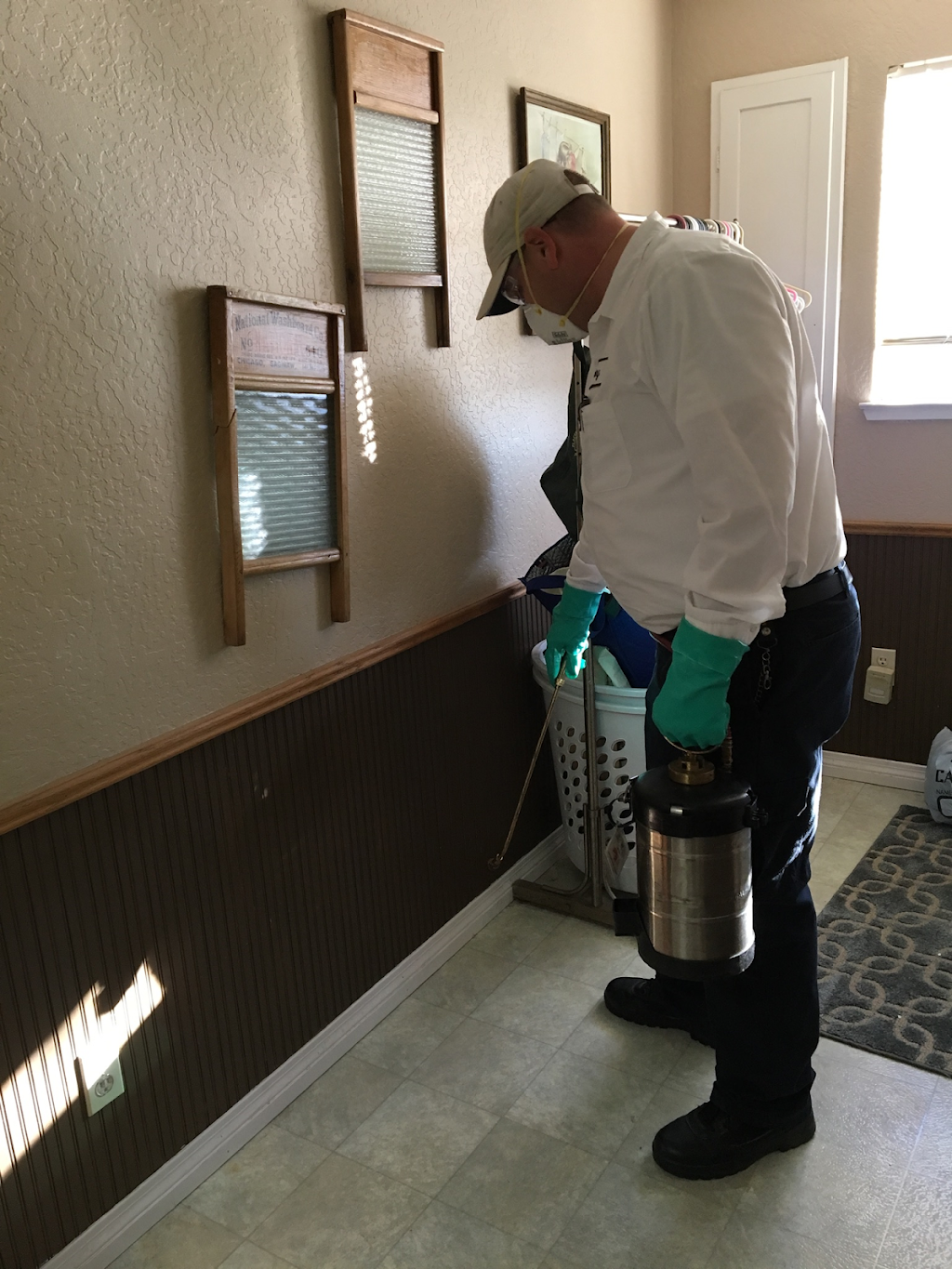 A-1 Exterminators | 805 E Harding Way, Stockton, CA 95205, USA | Phone: (209) 465-5834