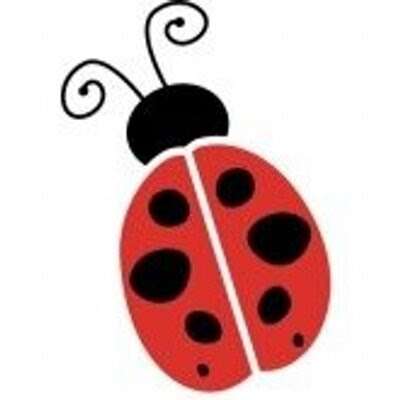 Ladybug Cleaners | 902 S Heaton St, Knox, IN 46534, USA | Phone: (574) 772-6255