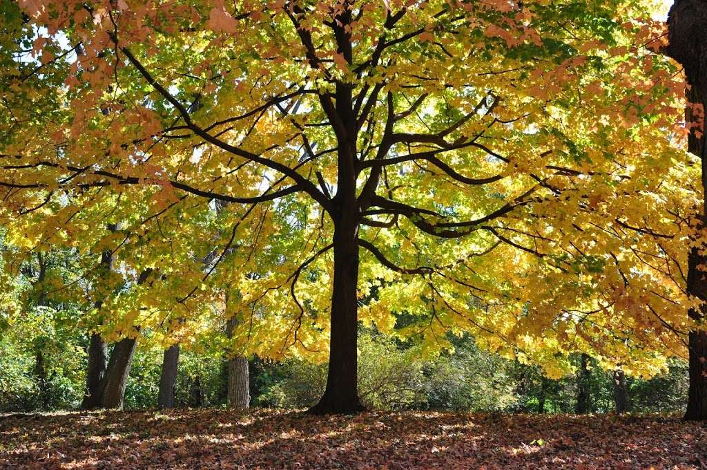 Trout Park Nature Preserve | Dundee Township, IL 60118, USA