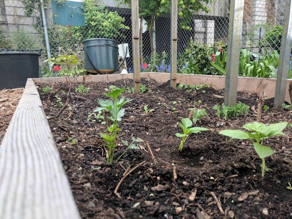 Riverside Valley Community Garden | 699 W 138th St, New York, NY 10031 | Phone: (212) 870-3070