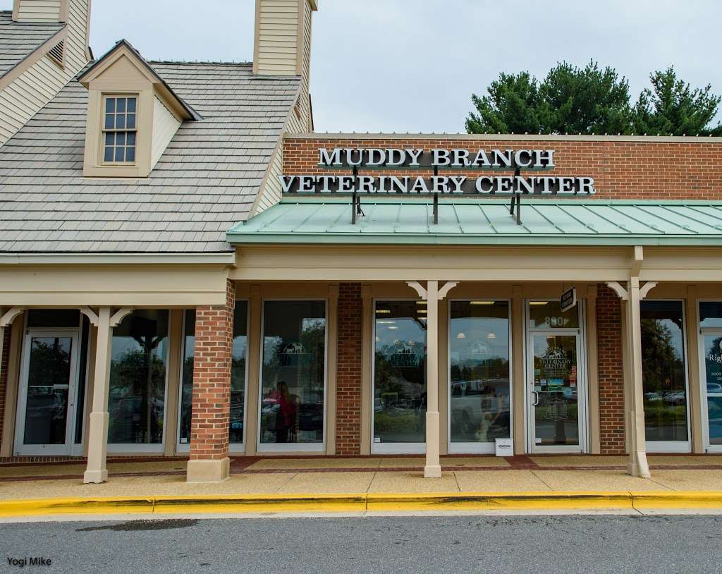 Muddy Branch Veterinary Center | 880 Muddy Branch Rd, Gaithersburg, MD 20878, USA | Phone: (301) 963-0275