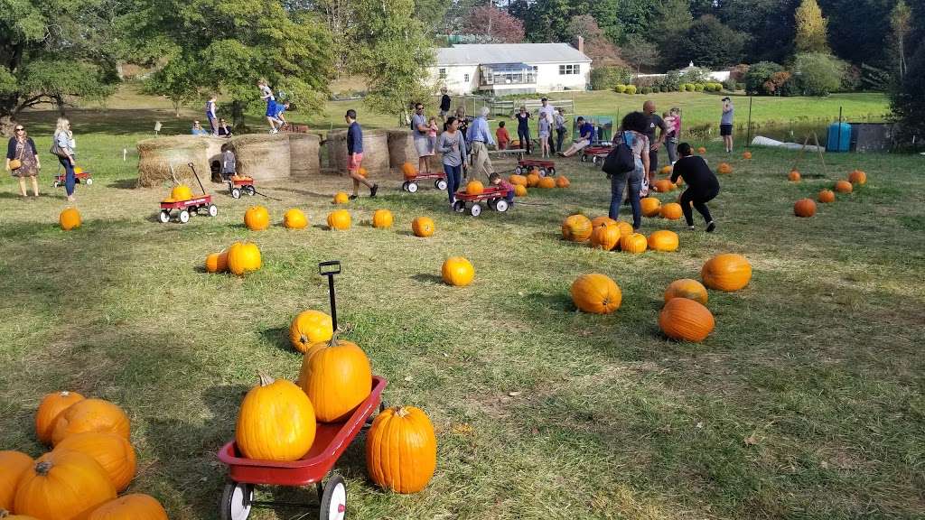 Sam Bridge Nursery & Greenhouses, LLC | 437 North Street, Greenwich, CT 06830, USA | Phone: (203) 869-3418