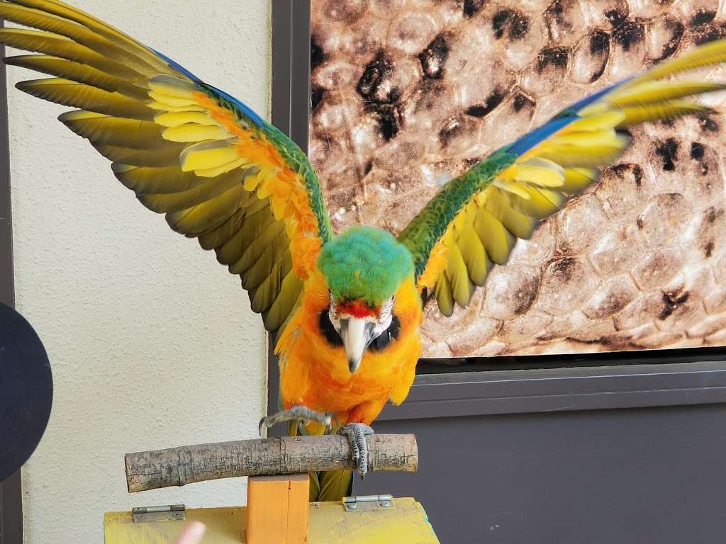 Americas Teaching Zoo | 7075 Campus Rd, Moorpark, CA 93021, USA | Phone: (805) 378-1441