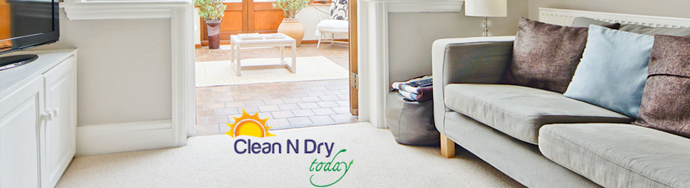 Clean N Dry Today | 3815 US-1 #1, Cocoa, FL 32926, USA | Phone: (321) 222-9300