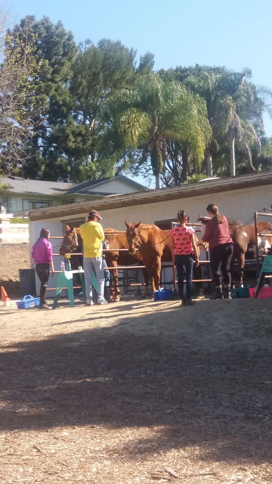 Glory Reins Riding School | 1455 Tierra Rejada Rd, Simi Valley, CA 93065, USA | Phone: (818) 282-3707