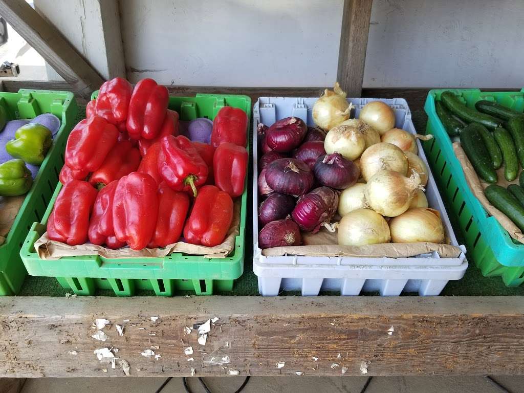 Rodela Produce and Flowers | 4550 Olivas Park Dr, Ventura, CA 93003, USA | Phone: (805) 844-9174