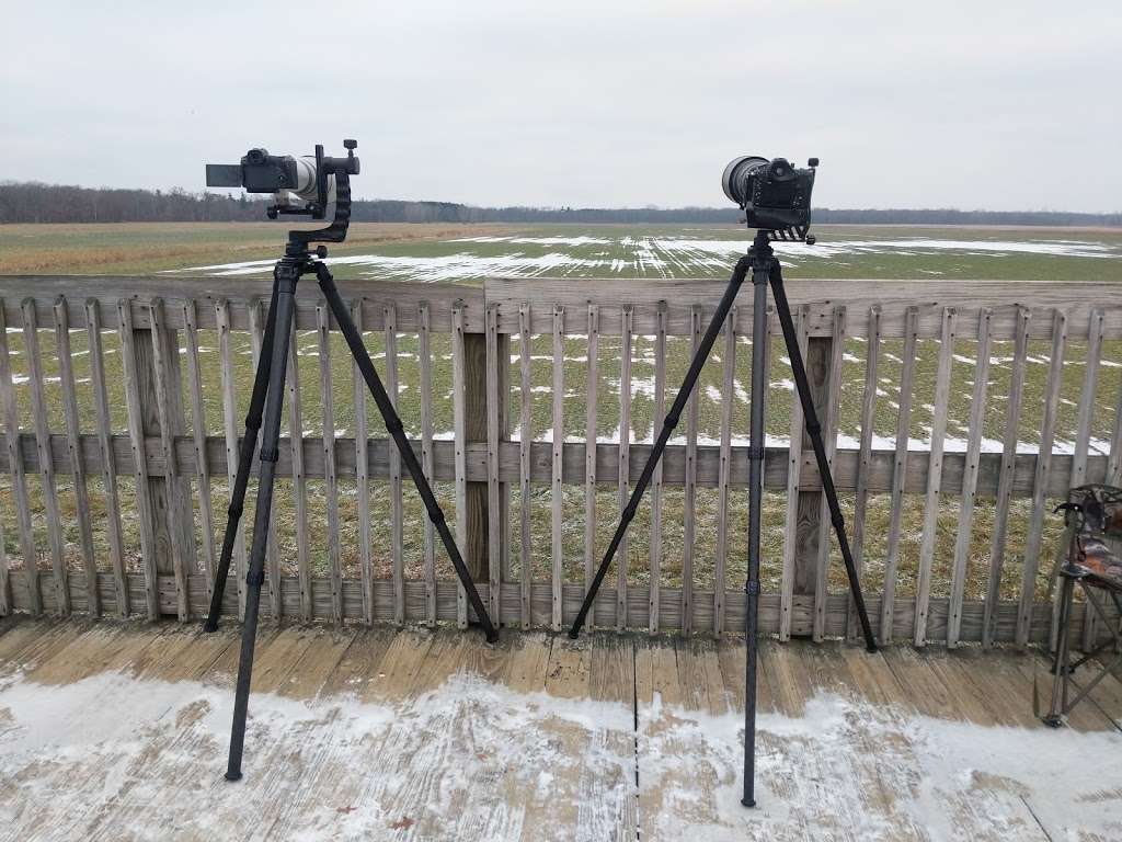 Sandhill Crane Observation Area | 5353 County Rd 1650 W, Medaryville, IN 47957, USA | Phone: (219) 843-4841