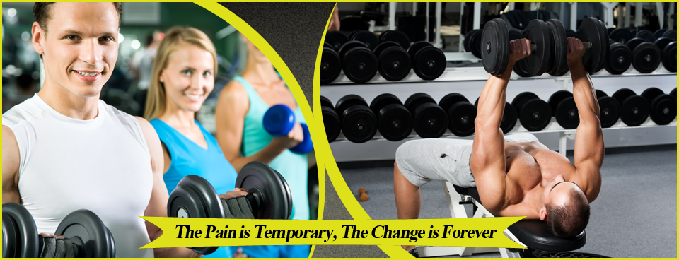 Elite Fitness | 50 NY-303, Valley Cottage, NY 10989, USA | Phone: (845) 222-6549