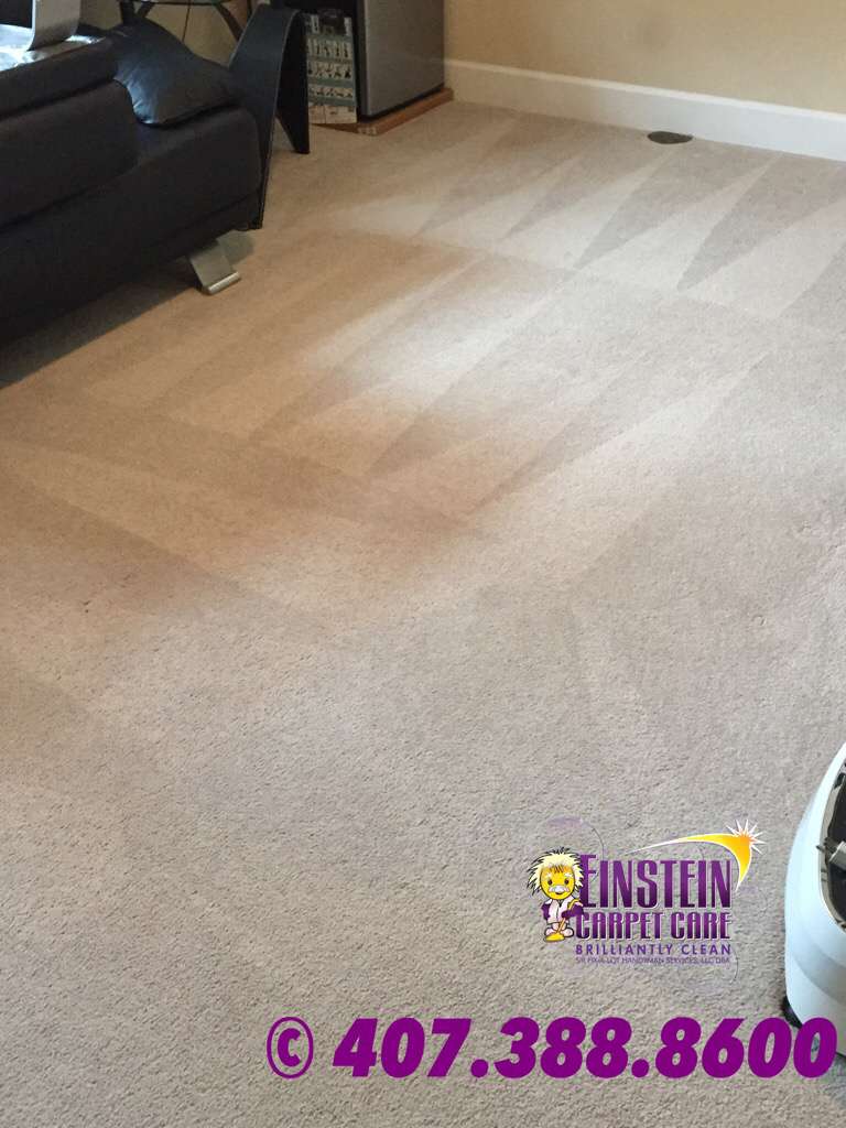 Einstein Carpet Care | 12257 Rebeccas Run Dr, Winter Garden, FL 34787, USA | Phone: (407) 388-8600