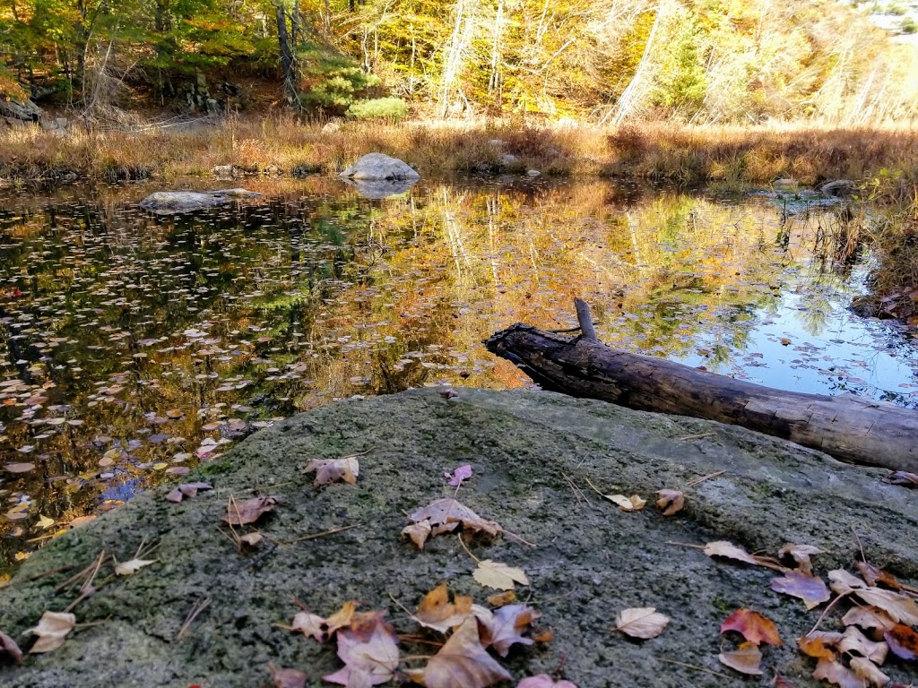 Wompatuck State Park | 204 Union St, Hingham, MA 02043, USA | Phone: (781) 749-7160