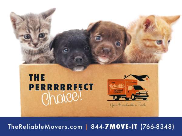 The Reliable Moving Company | 900 Route 168, Suite A-4, Turnersville, NJ 08012, USA | Phone: (844) 766-8348