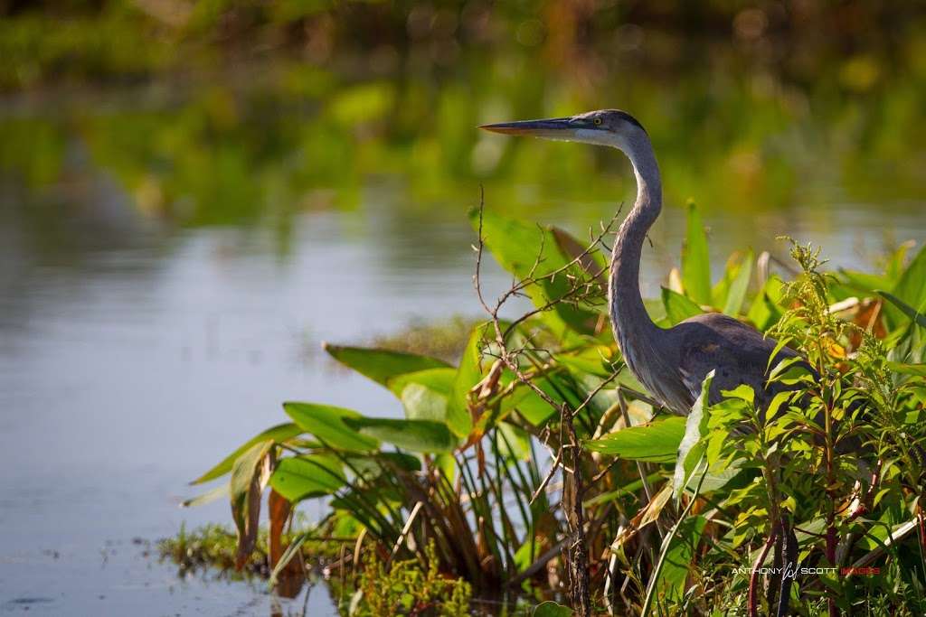 Carter Road Mountain Bike Trails | Bartow, FL 33830, USA