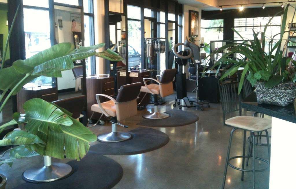 Rich Low Hair at Serandi Salon | #100, 3267, 1833 S Coast Hwy, Laguna Beach, CA 92651, USA | Phone: (949) 257-9735