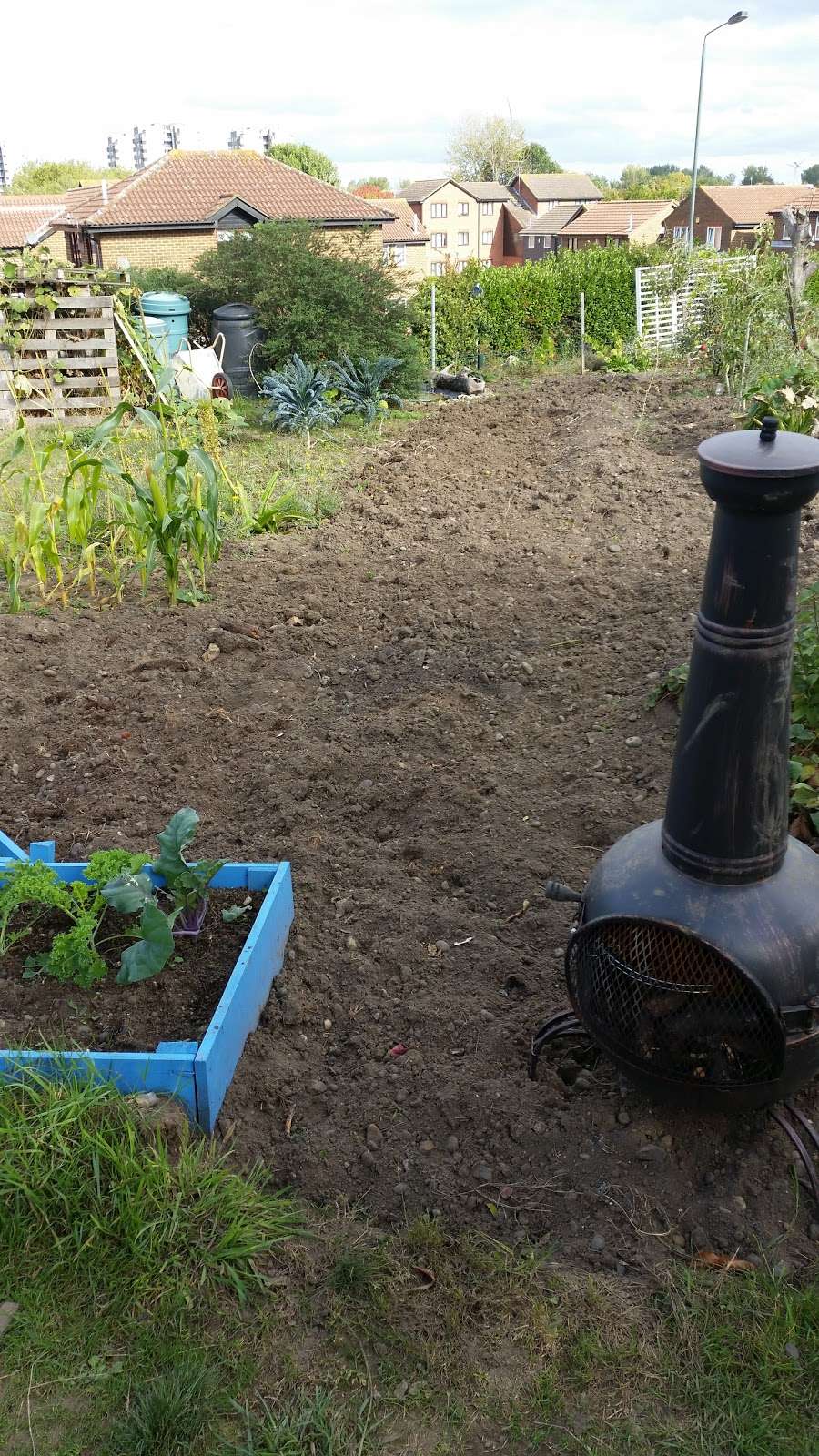 Bexley Allotments - Elstree Gardens | 60 Coptefield Dr, Belvedere DA17 5RL, UK