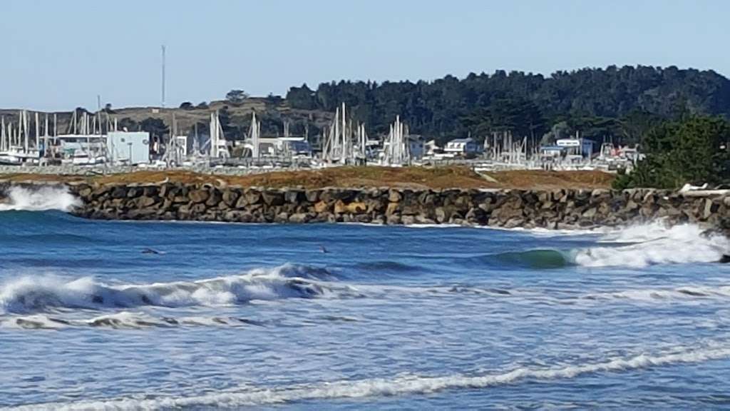 Surfers Beach | 4000 Cabrillo Hwy N, Half Moon Bay, CA 94019, USA