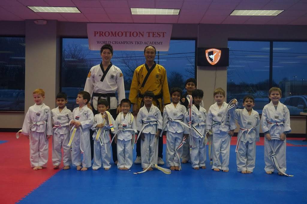 WORLD CHAMPION TAEKWONDO ACADEMY - STRONGSVILLE, OH | 17910 Pearl Rd, Strongsville, OH 44136, USA | Phone: (440) 878-5555