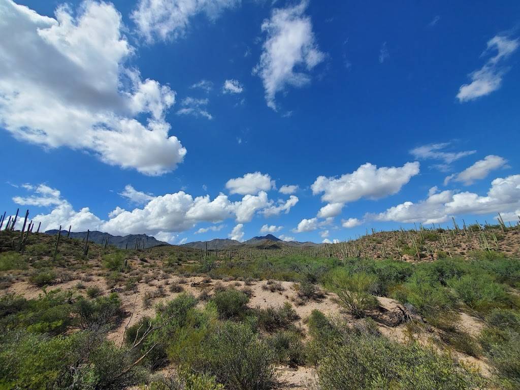 Rillito River Park | Tucson, AZ 85712, USA | Phone: (520) 724-5000